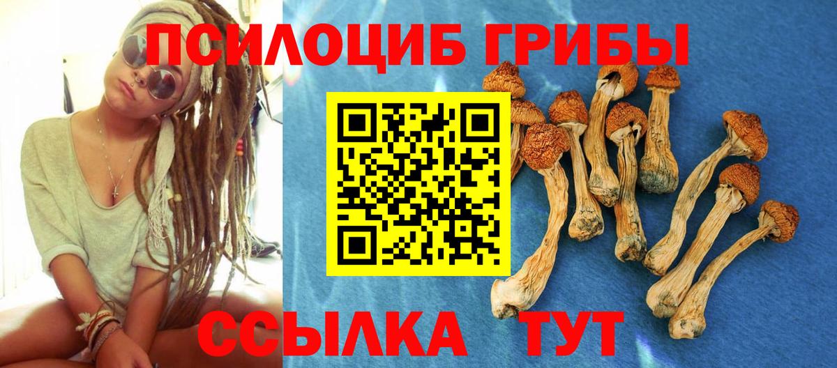 Псилоцибиновые грибы Cubensis  Вход с VPN  Новоалександровск 