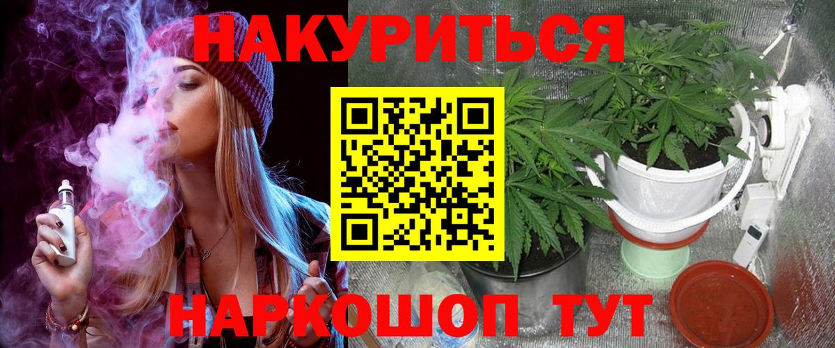Конопля OG Kush Новоалександровск